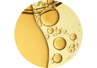 Marula Oil - active ingredient in our iconic Elixir Huile Originale to provide nutrition and anti-oxydant protection